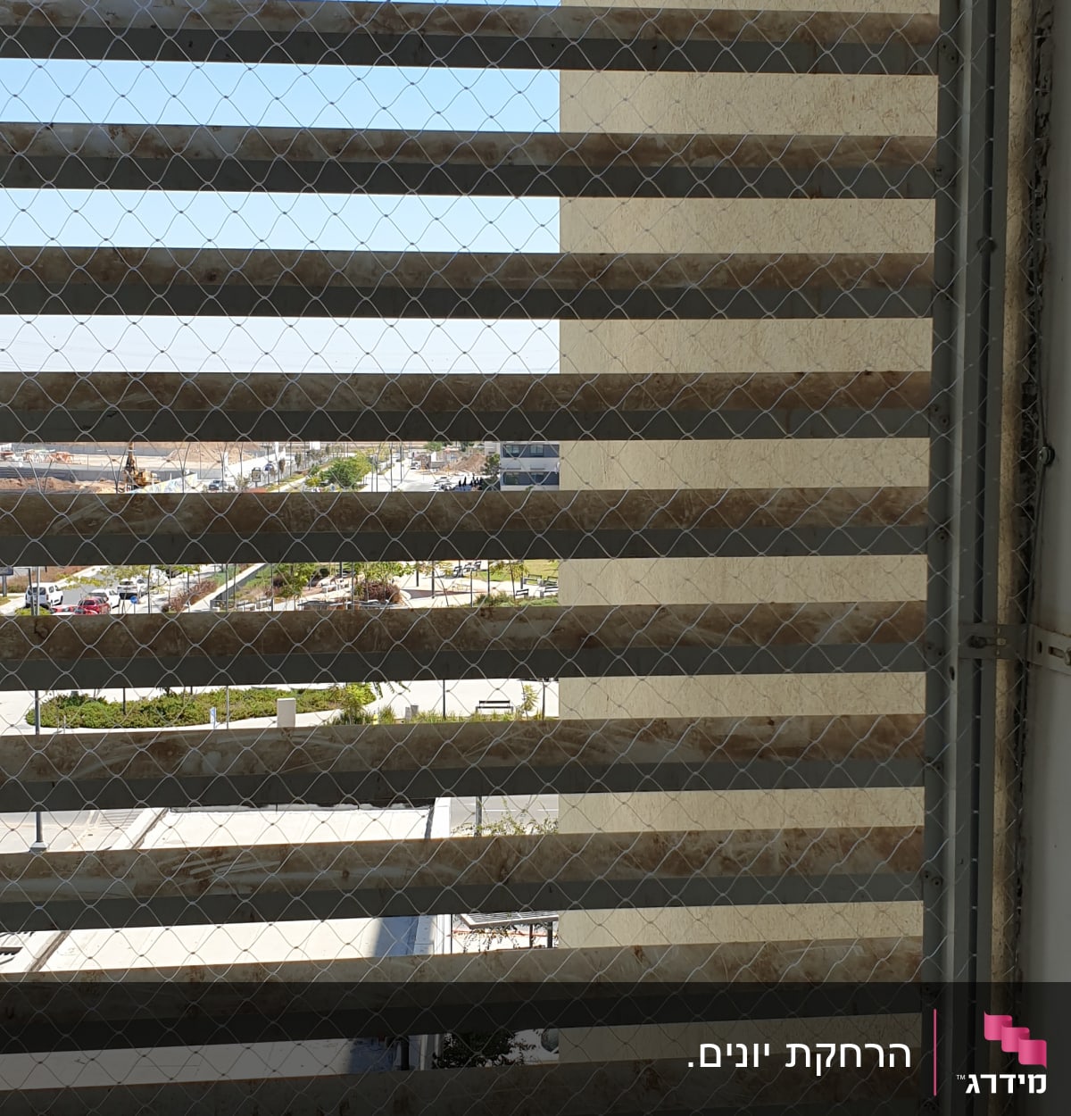 רשת מתכת על חלון למניעת כניסת יונים